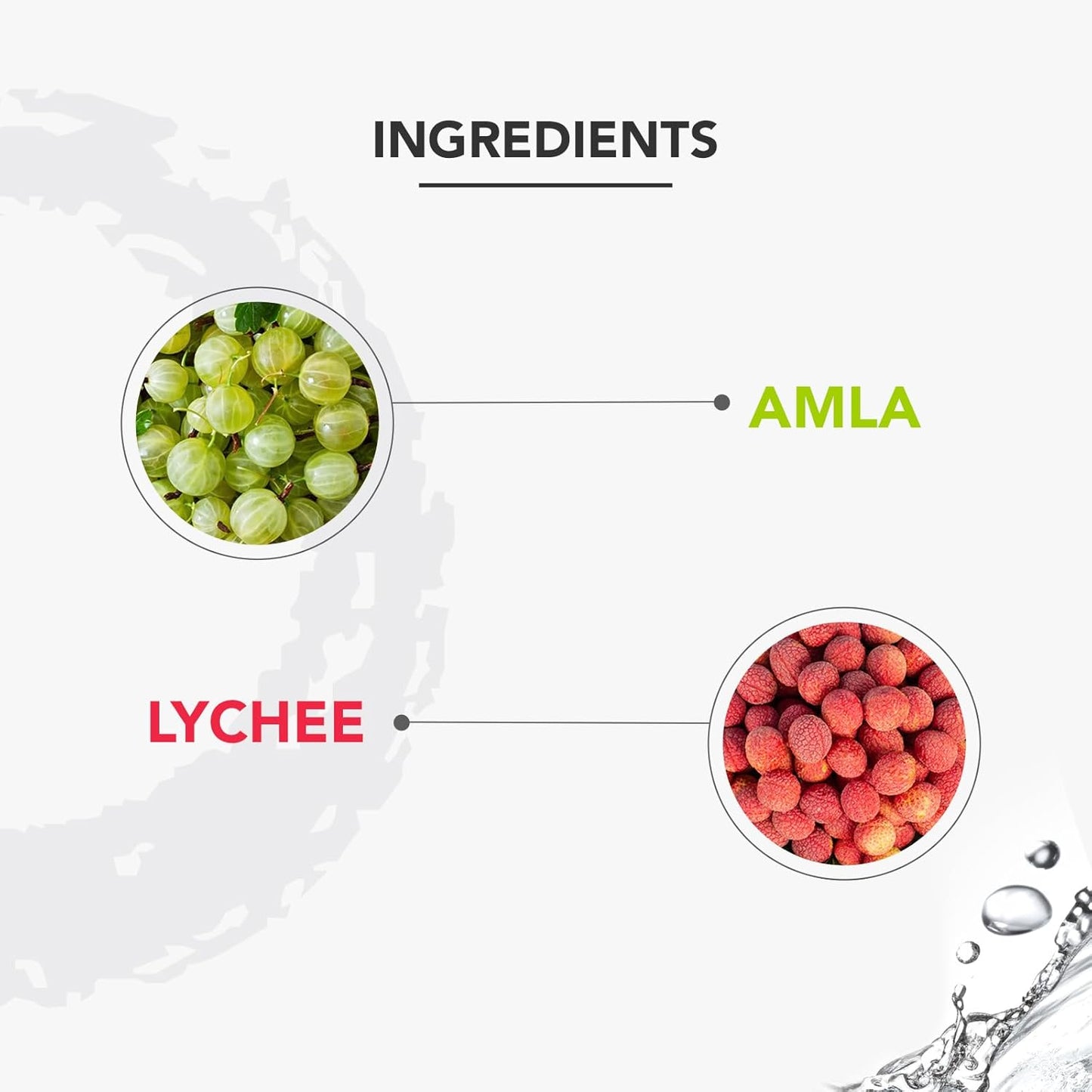 Lotus Professional PHYTORx Face Wash for Women & Men | Cleanser for Normal to Dry Skin | Pore Refining | Alcohol & Sulphate Free Cleanser for Glowing skin, 80gm