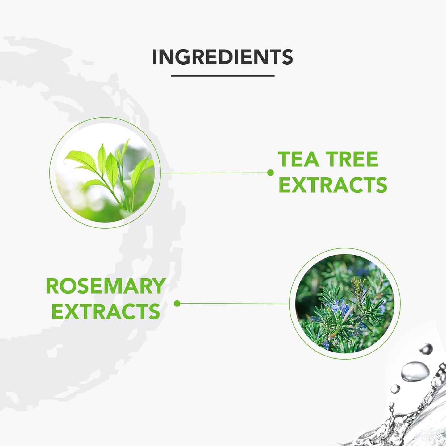 Lotus Professional Phyto Rx Deep Pore Cleansing Face Wash, 80g, Transparent