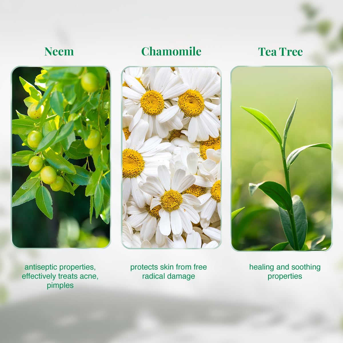 VLCC Neem Face Wash - 150ml X 2 | Buy One Get One (300ml) | Fights Acne, and Pimples | Soothe Skin Inflammation and Irritation | With Neem, Chamomile, Tea Tree, Eucalyptus & Carrot seed.