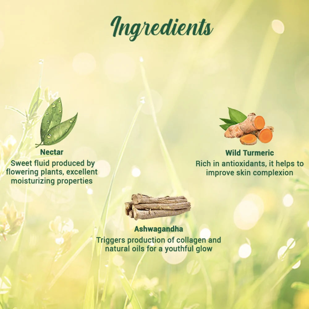 Biotique Morning Nectar Nourish and Hydrate Moisturizer