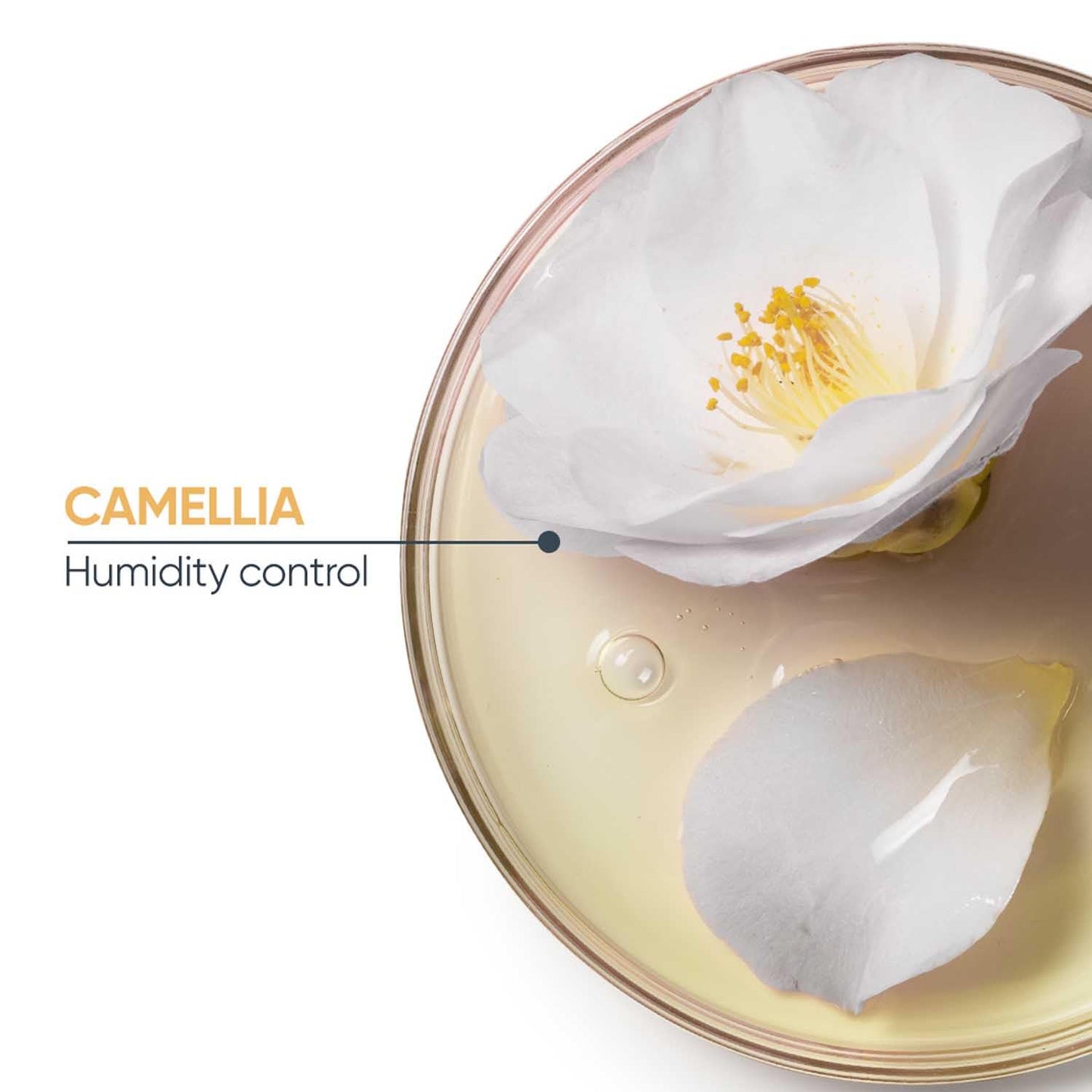 Biolage Smoothproof Deep Smoothing 6-in-1 Professional Hair Serum for Frizzy Hair, Paraben Free